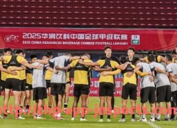 江南体育APP下载-意甲联赛中存在的假球队现象及相关案例分析